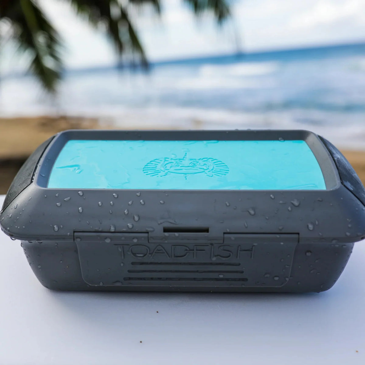Toadfish Dry Box holding a mobile phone