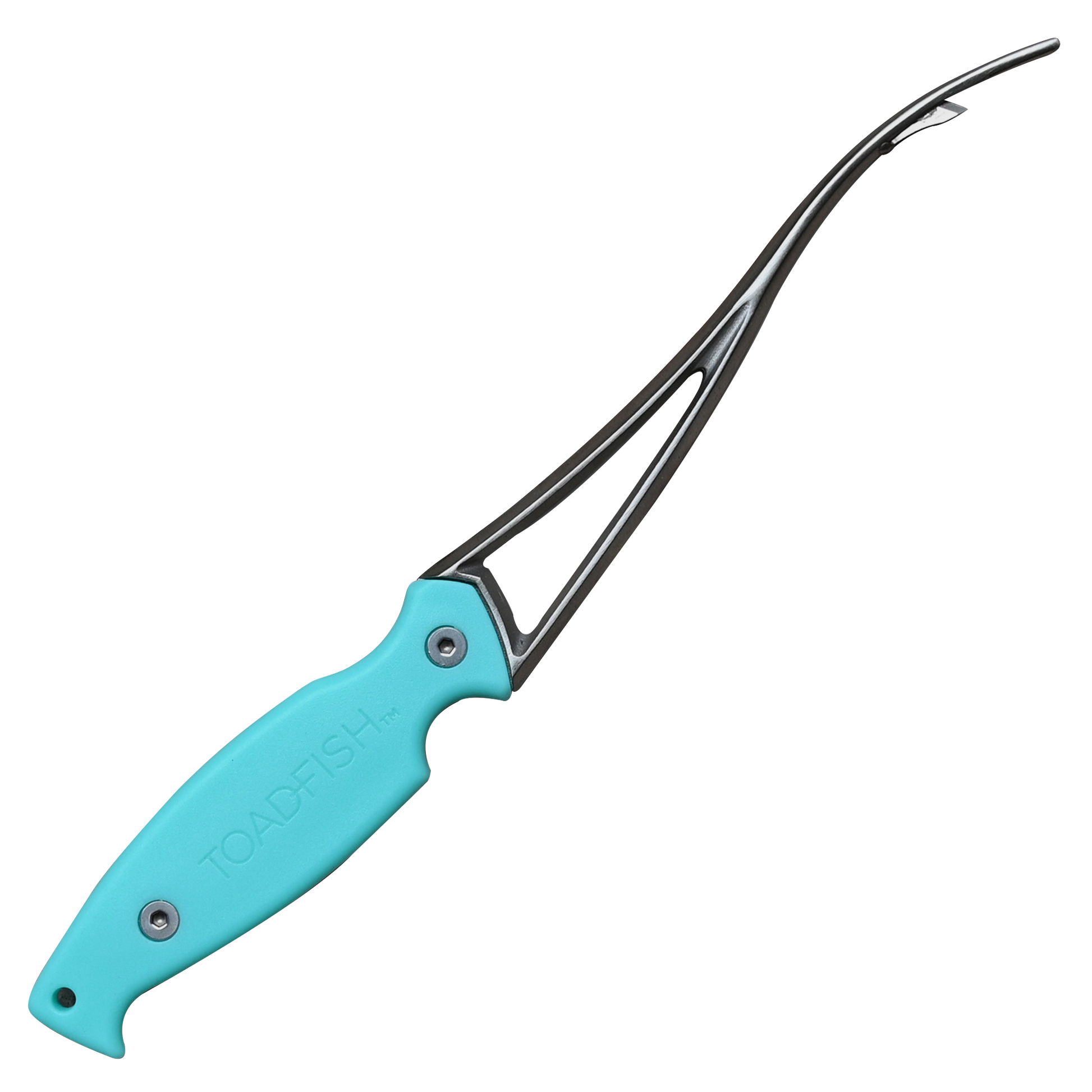 Toadfish Frogmore shrimp cleaner